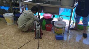 Thông tắc cống Phú Thọ